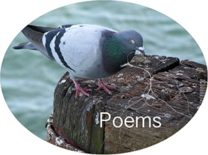 Poems