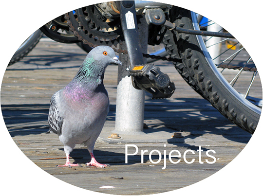 Projects