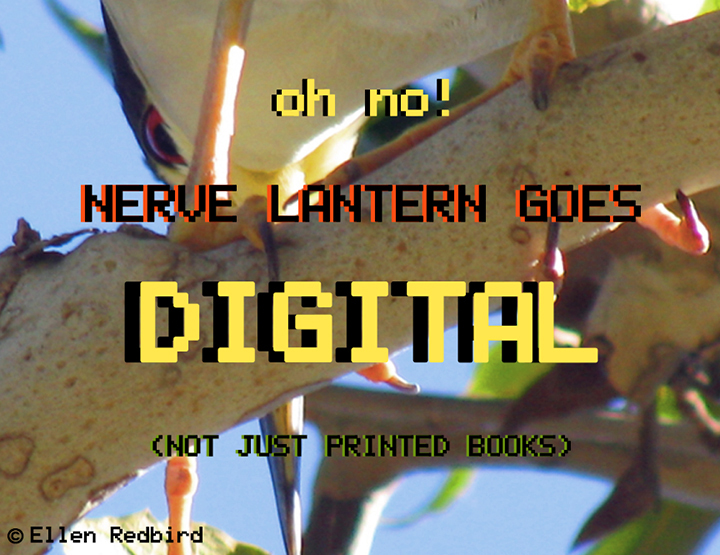 NLGoesDigital